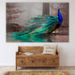 Pfau Wandkunst Gemälde auf Leinwand, tropische Wandkunst, Vogel Wandkunst Home Wanddekoration Leinwandgemälde helle Wandkunst extra große Wandkunst