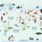 Animal world map World map mural Removable wallpaper Textured wallpaper nursery wallpaper vinyl wallpaper modern wallpaper wall print art